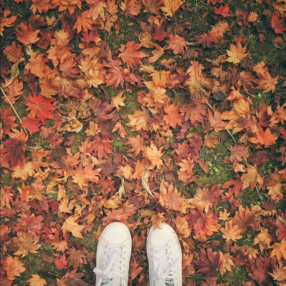 Meet your Posher, Joanna